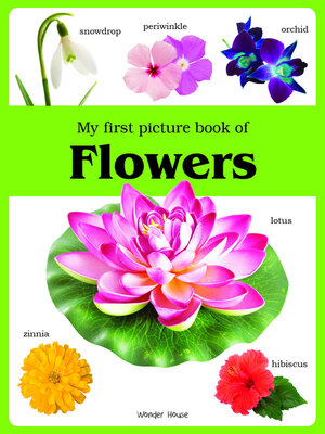 cover image of My First Picture Book of Flowers